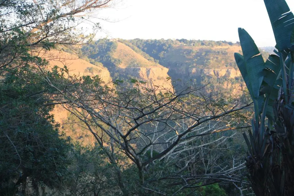 Ammazulu African Palace - фото 15