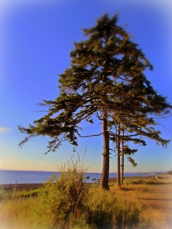 Beach & Waterfront