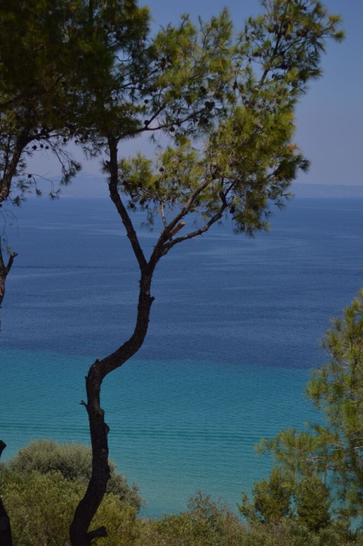 Beach & Waterfront