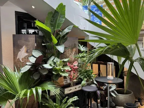 Hotel photo 35