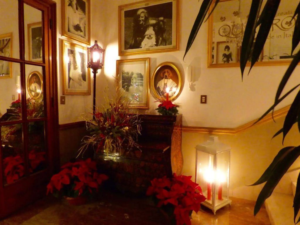 Hotel photo 13