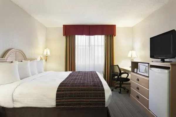 The Palms Inn & Suites - Chambres