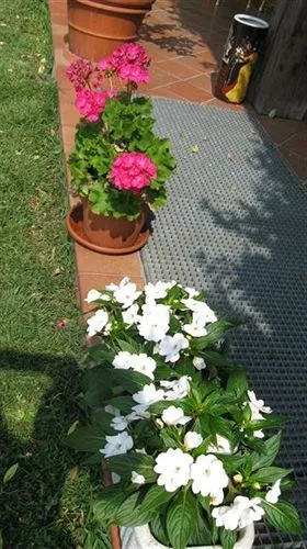 B&B Villa Patrizia