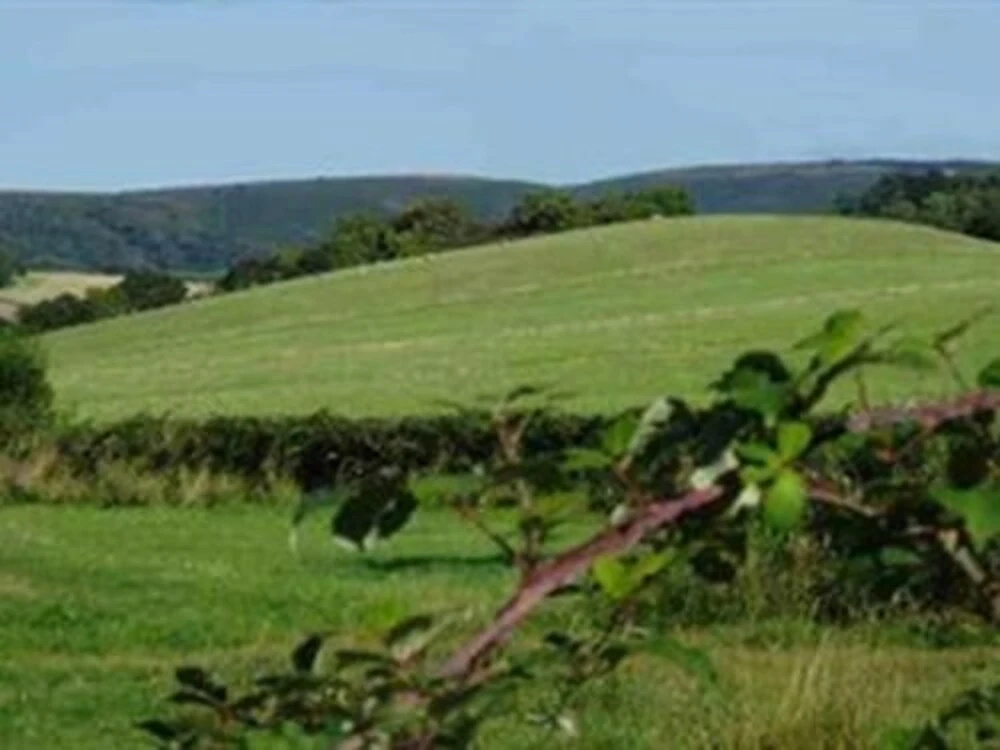 Catwell House - Général