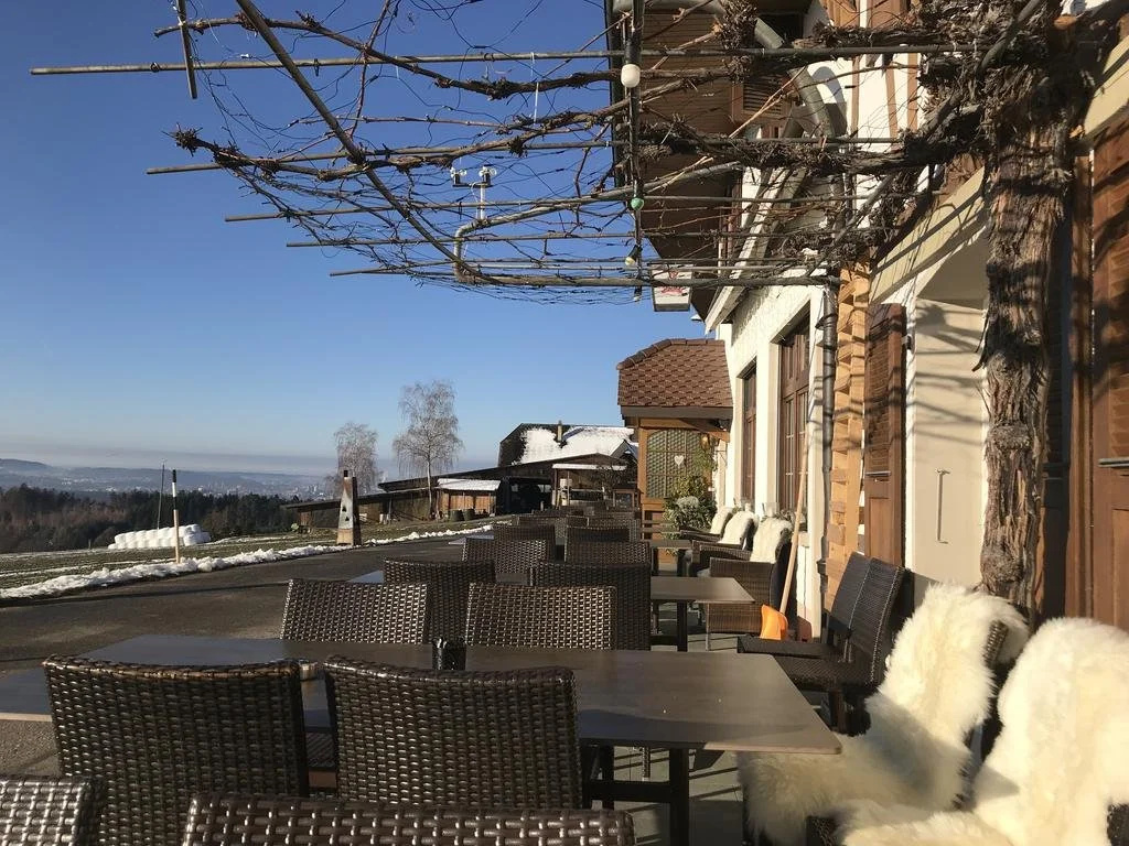 Balcony & Terrace