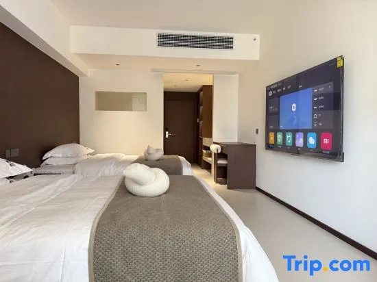 Standard Double room with city view (twin beds)