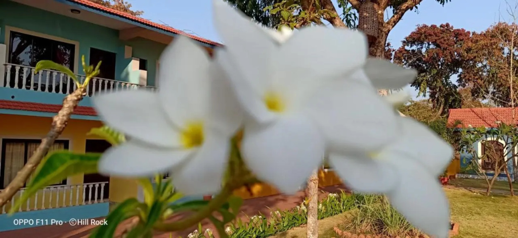 Hotel Hill Rock Goa