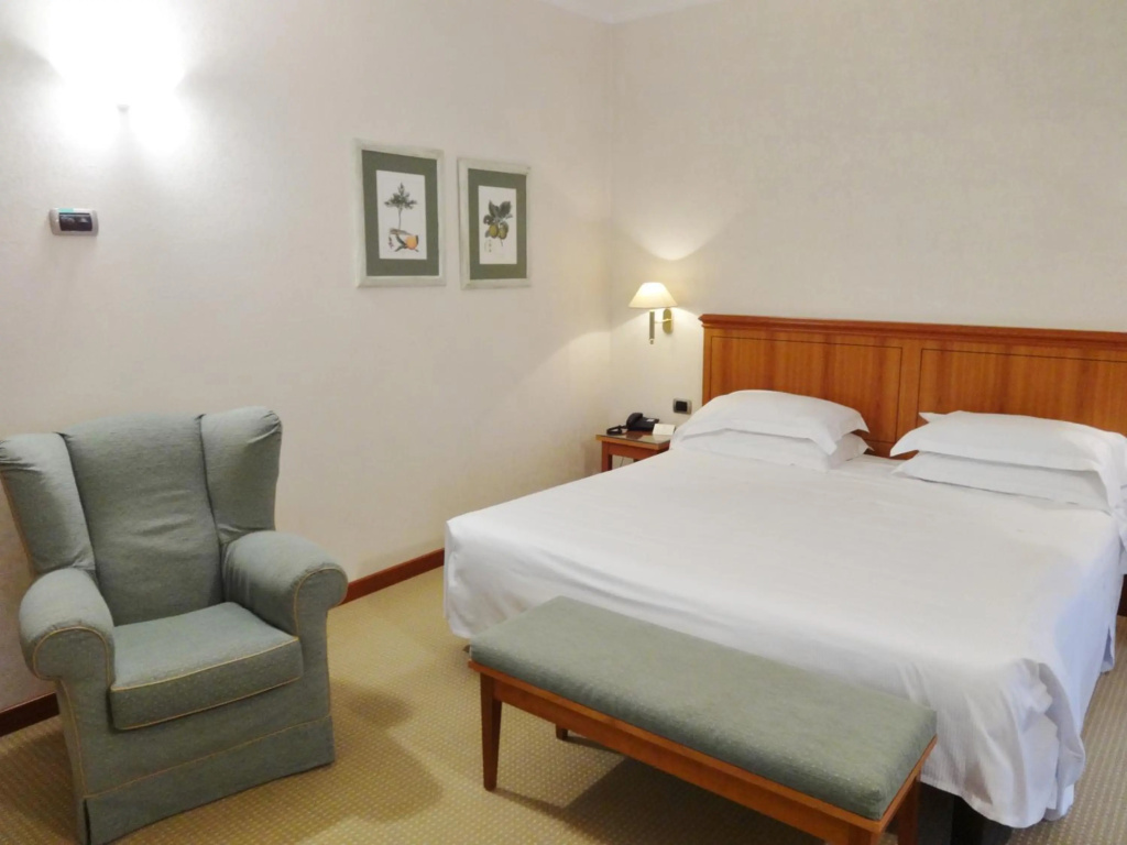 Hotel Excelsior Magenta - Général