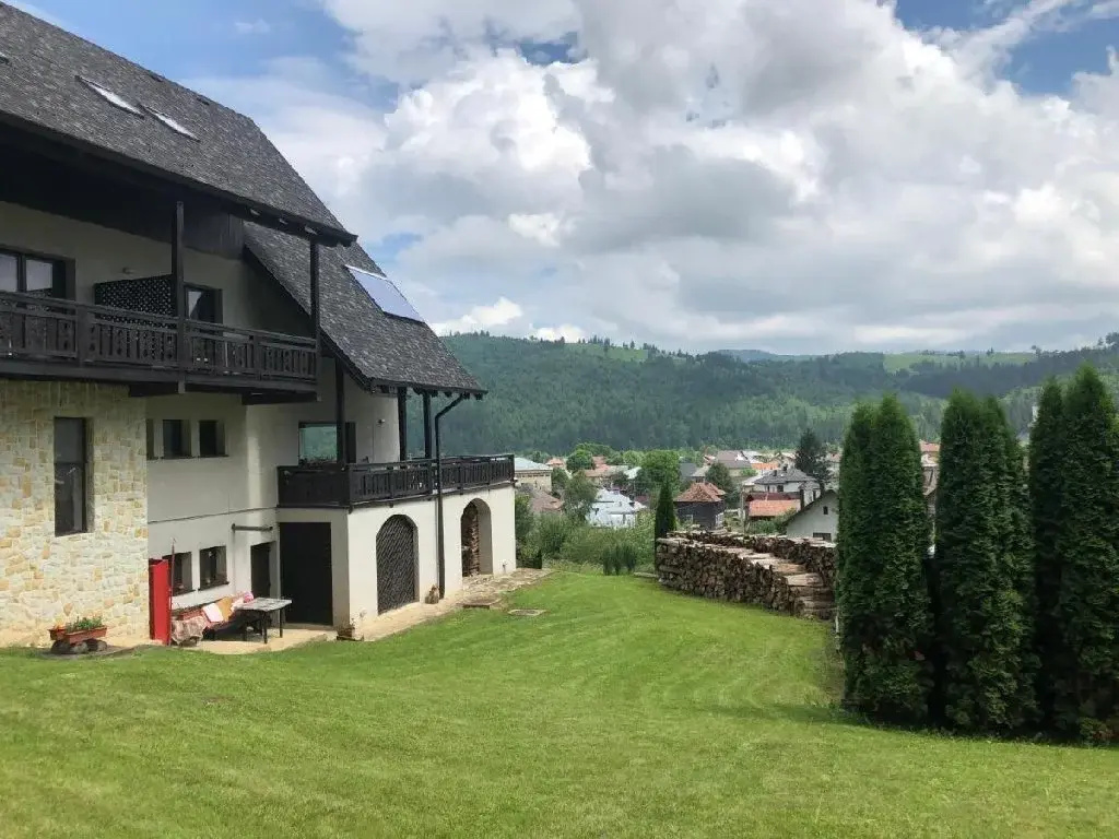 Bucovina Lodge Pension - Général
