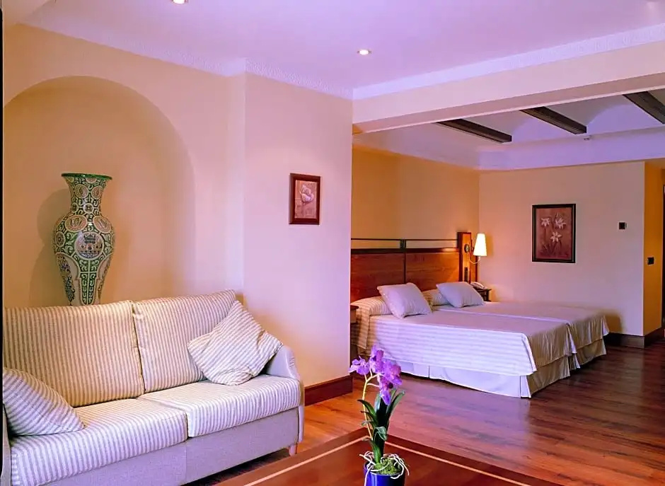 Hotel Abades Guadix - Chambres