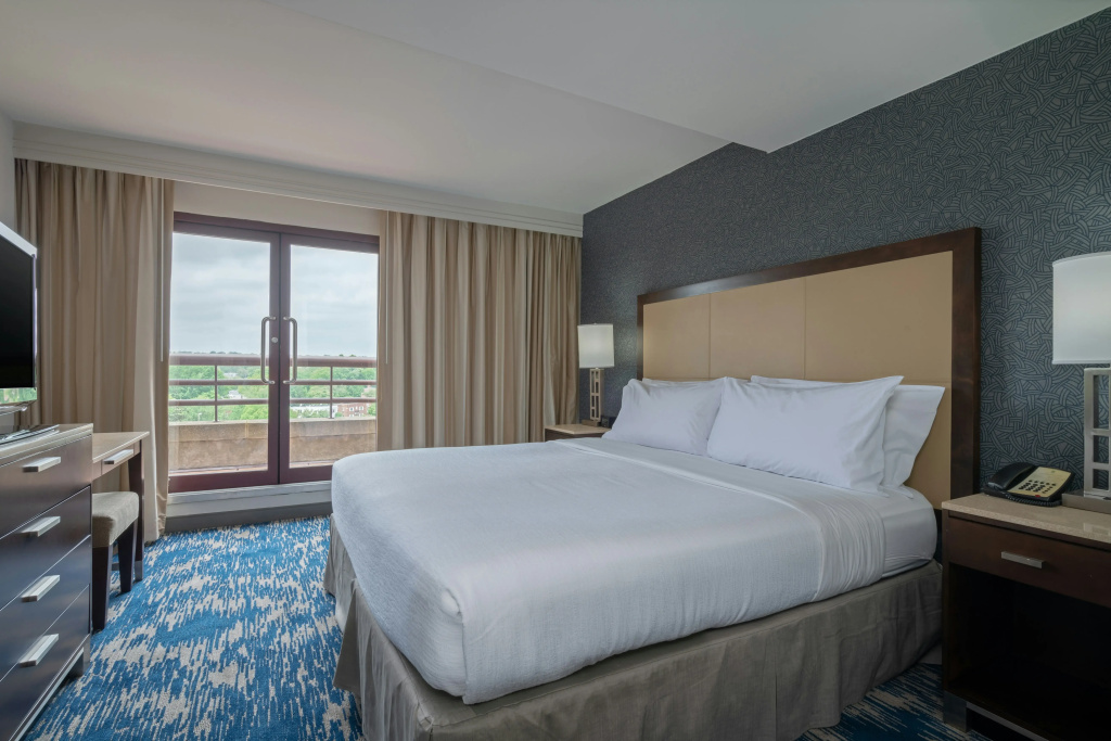 Embassy Suites by Hilton Alexandria Old Town - Général