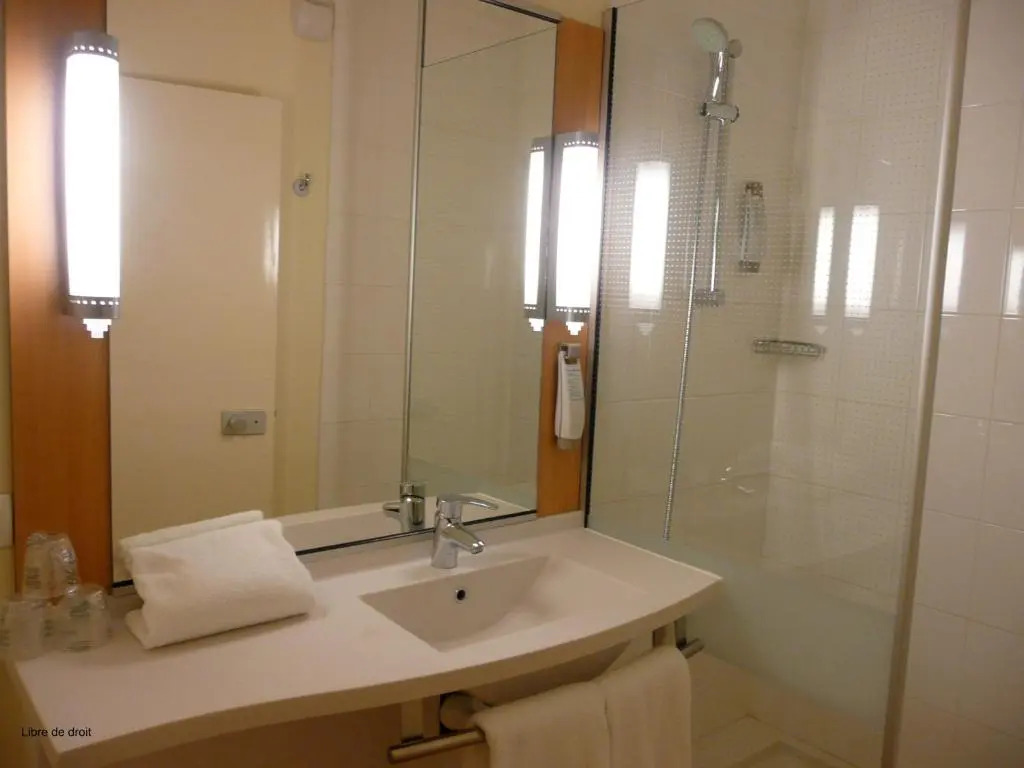 ibis Saint-Étienne - La Terrasse — фото 6