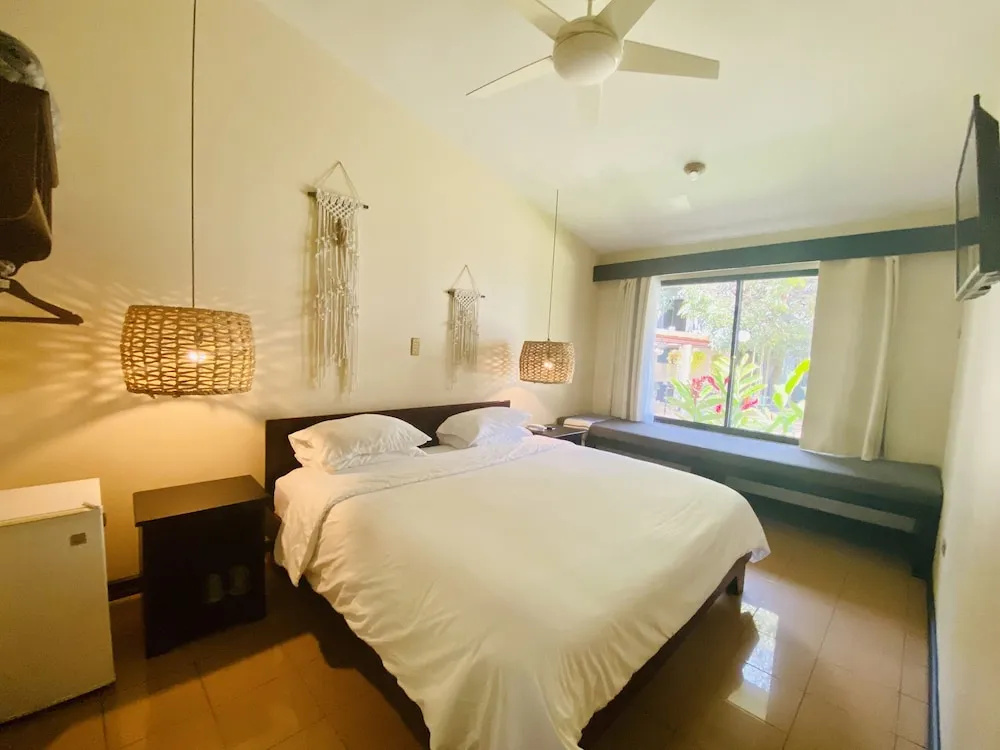 Hotel Mango - Général