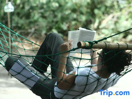 Mahoora Tented Safari Camp - Wilpattu