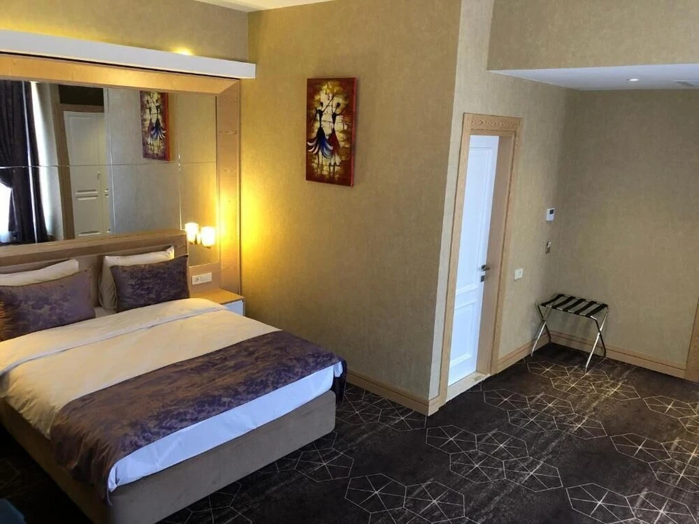 Regal Inn Badamdar — 1