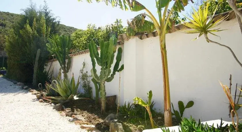 Image 18