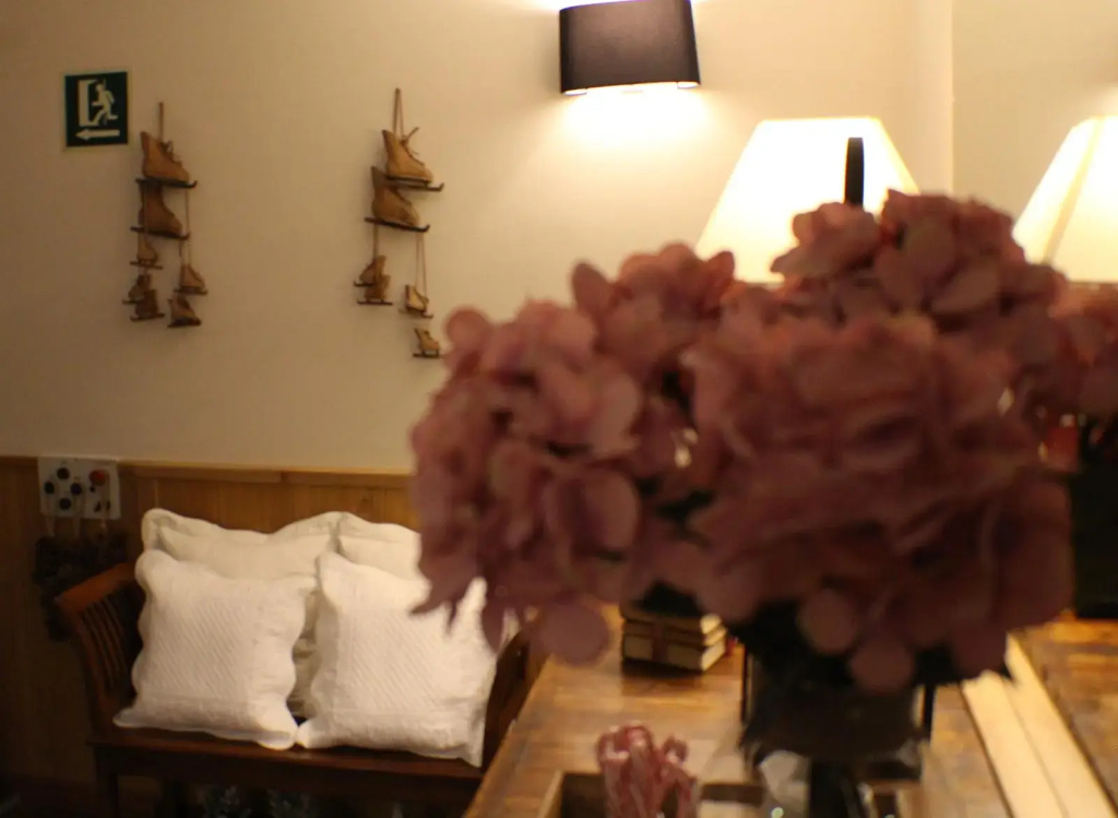 Hotel Meta - Général