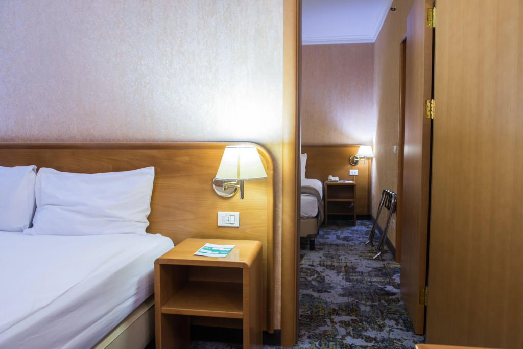 Holiday Inn Skopje by IHG - Général