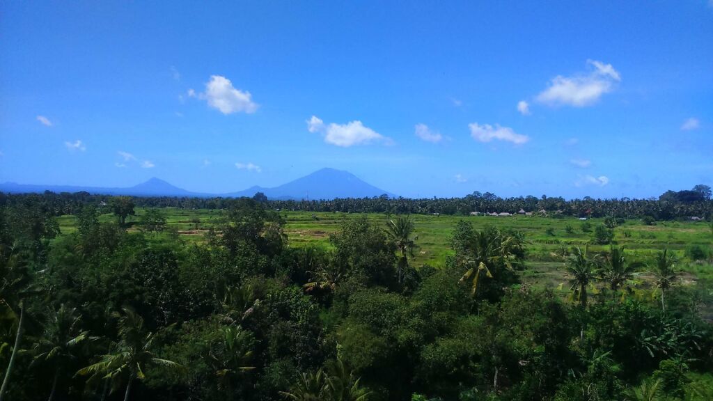 Seres Springs Resort & Spa Ubud