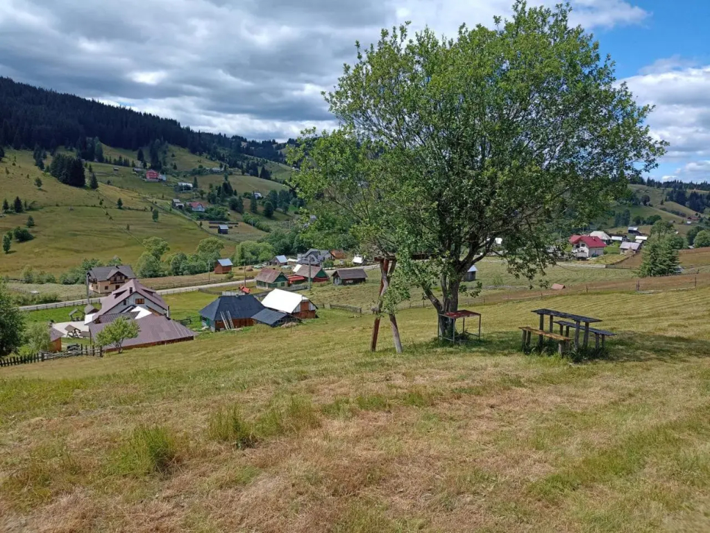 Casa Plai din Bucovina - фото 17