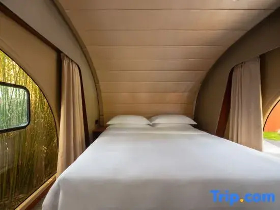 Double Family Suite (bunk bed)