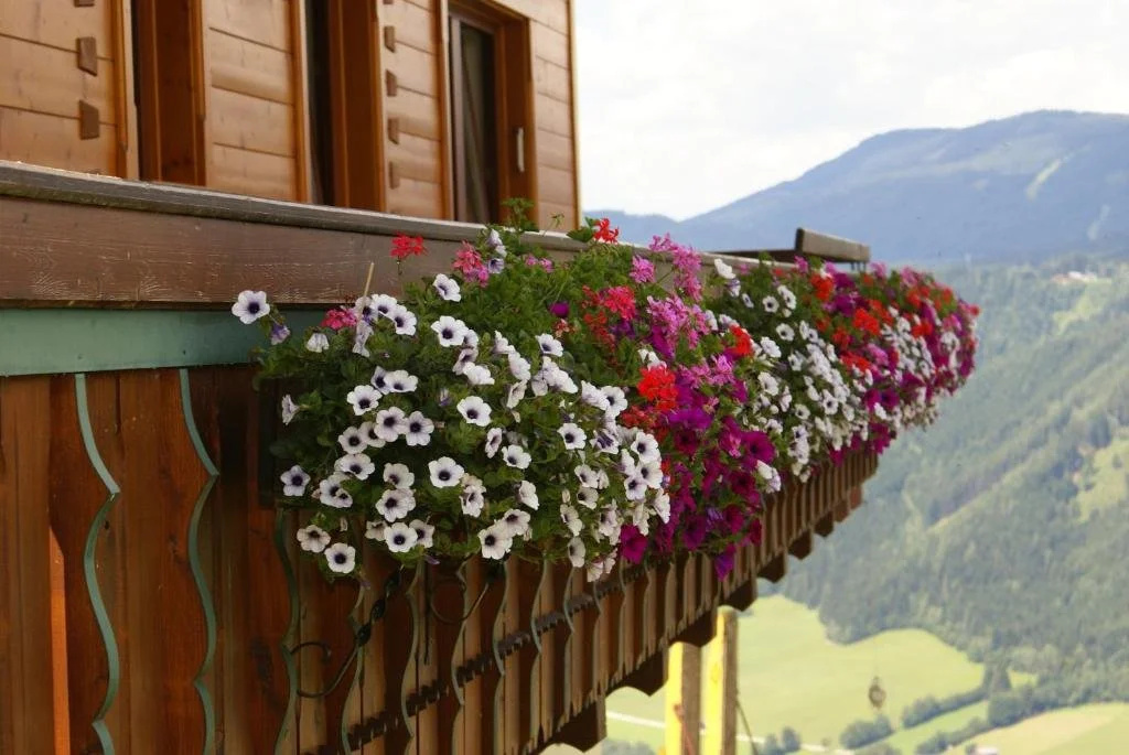 Balcony & Terrace
