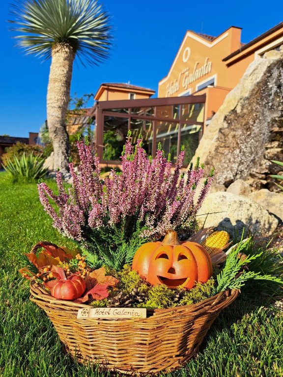 Hotel Galanta - Général