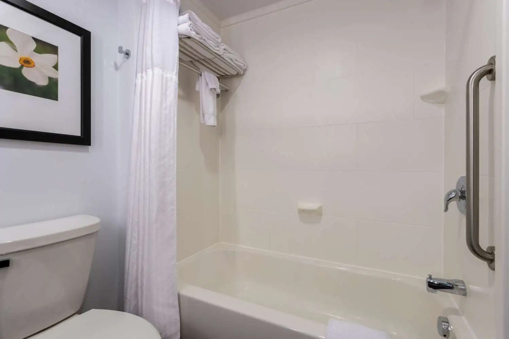 Hilton Garden Inn Roanoke - Chambres