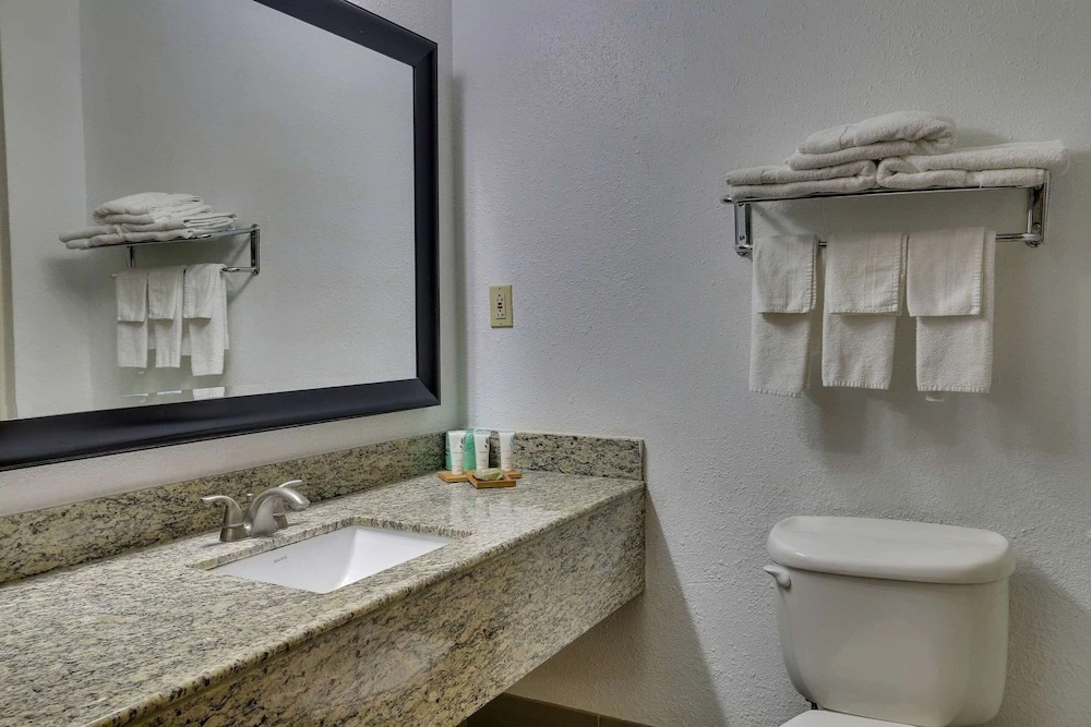 Country Inn & Suites by Radisson, Savannah Gateway, GA - Chambres