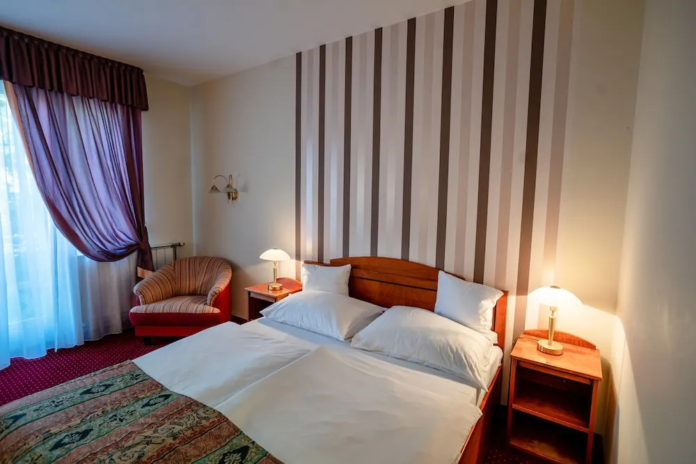 Hotel Erzsebet - Général