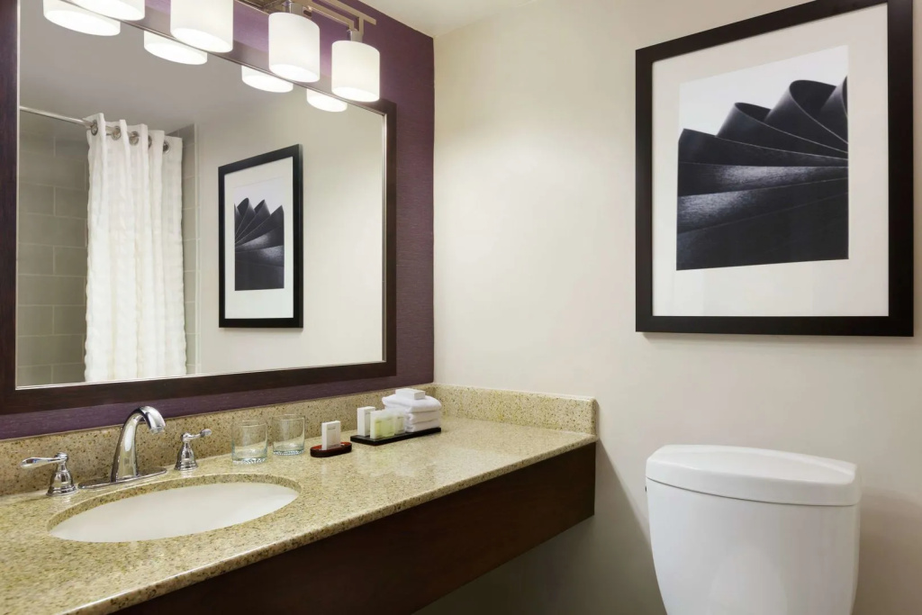 Embassy Suites by Hilton Santa Ana Orange County Airport - Général