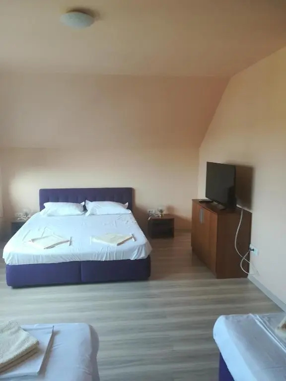 Pensiunea Dalena - Chambres