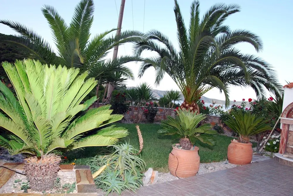 Hotel photo 27