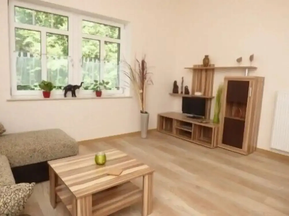Comfort Apartment with river view