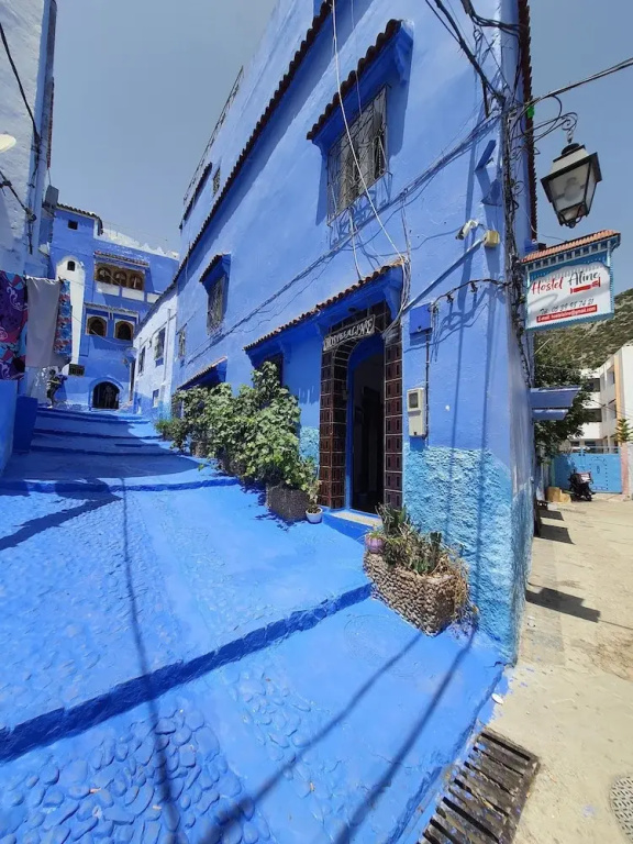 aline hostel
