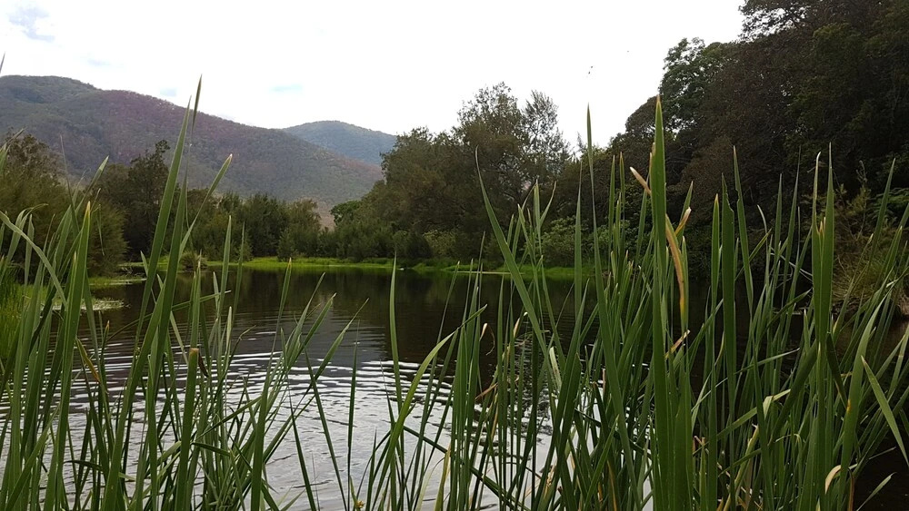 Karamea Homestead