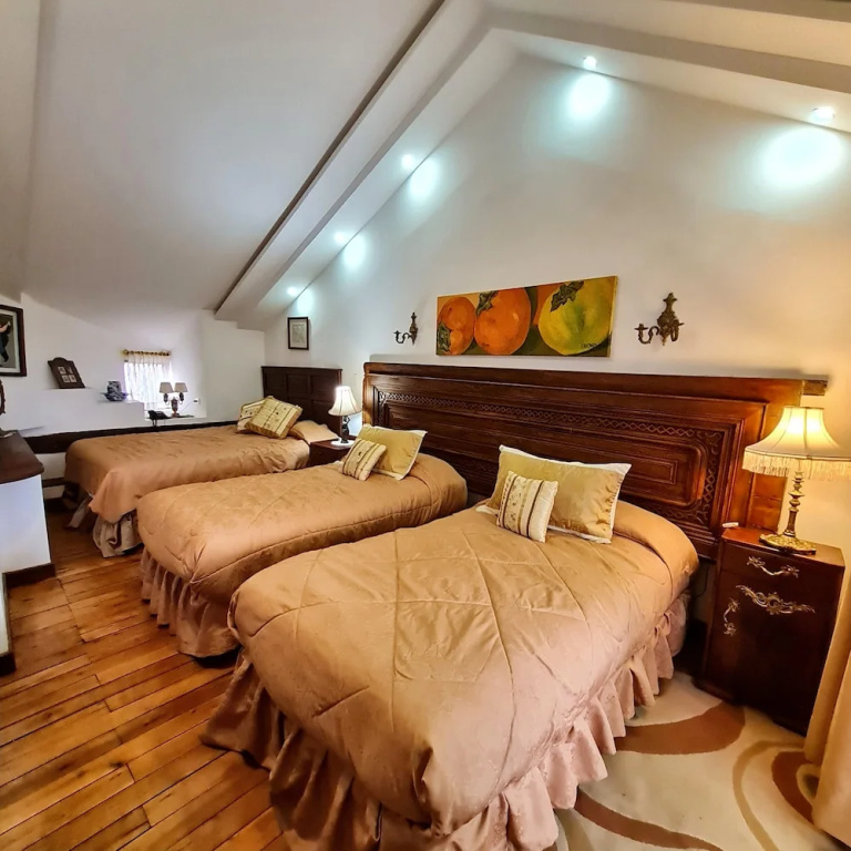 Deluxe Quadruple room with land view