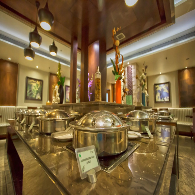 Sarovar Portico Jalandhar - Général