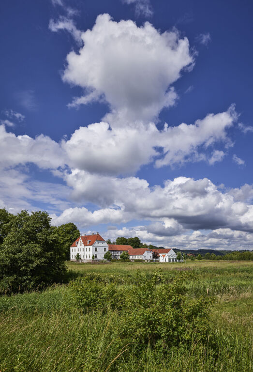 Haraldskær Sinatur Hotel & Konference picture