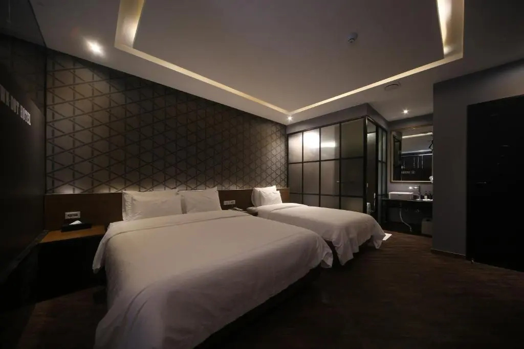 Deluxe Double room (twin beds)