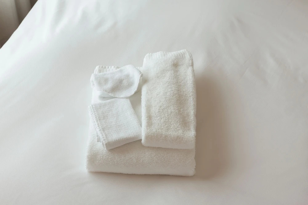 Nikko Princess Kyoto Hotel - Chambres