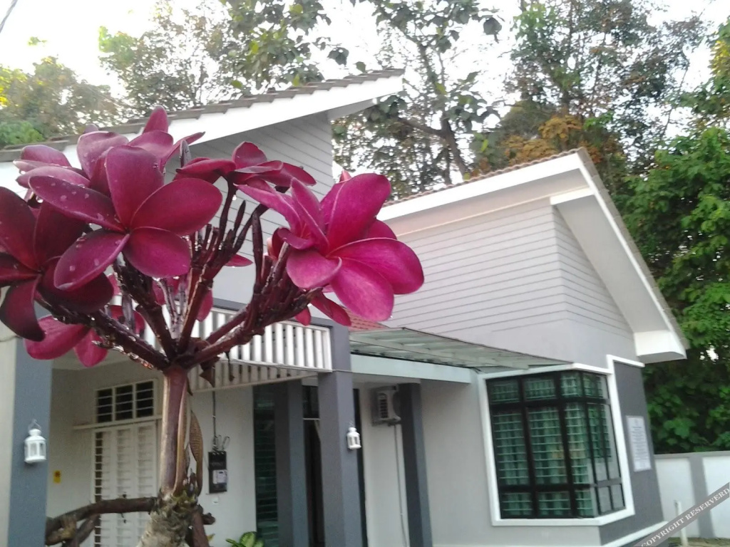 Morak Villa Resort