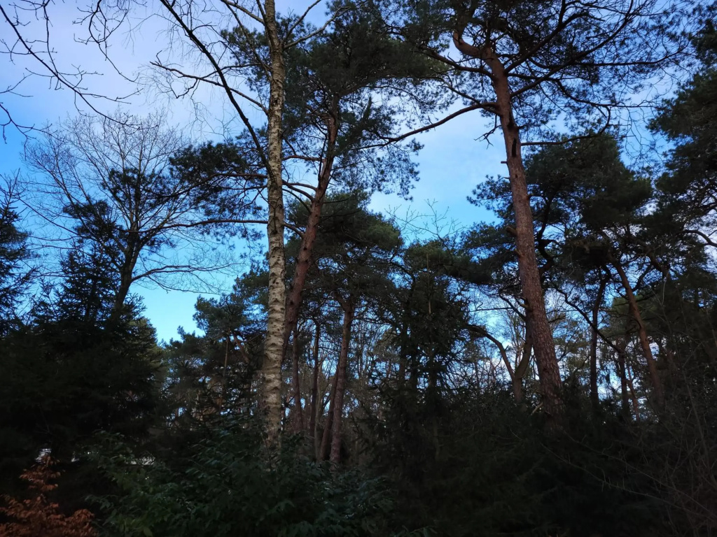 Secret Wellness Puur Natuur