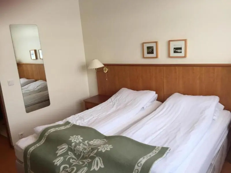 Standard Double room (twin beds)