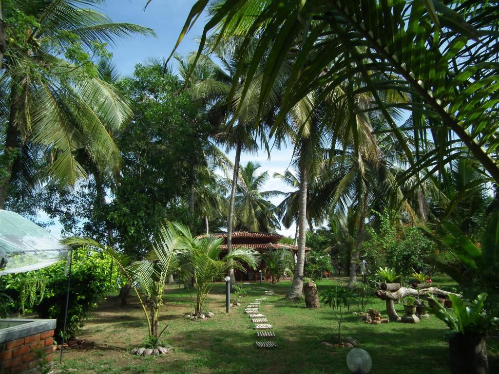 Coconut Island