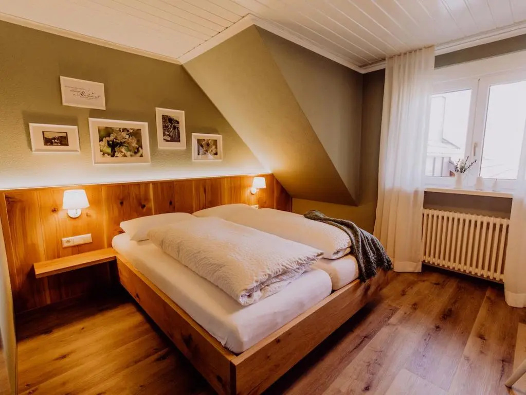 Standard Double room (full double bed)