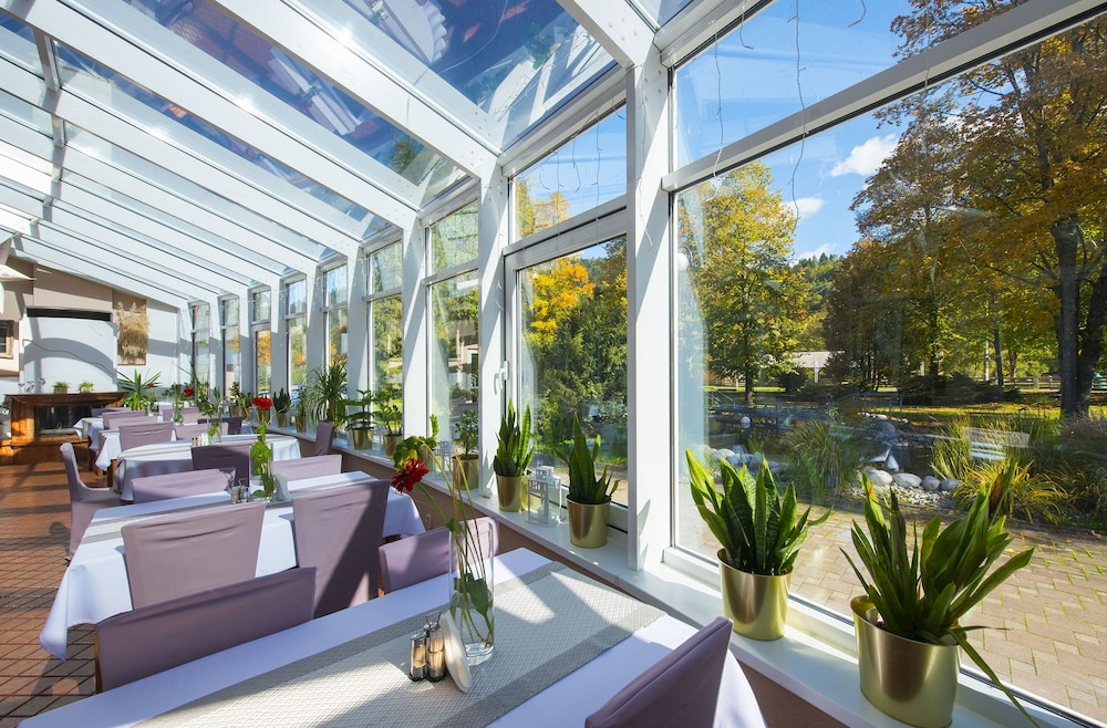 Balcony & Terrace