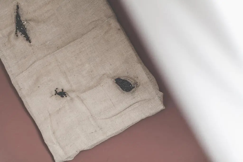 Bio Hotel Palermo - Chambres