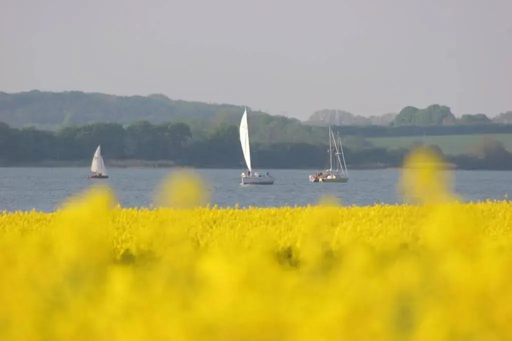 Hotel an der Schlei Garni - Général