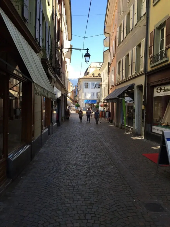 Charming 1-bed Apartment in Vevey
